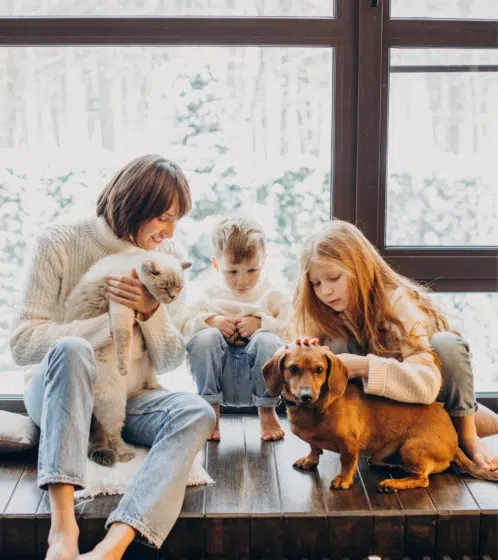 location pet friendly